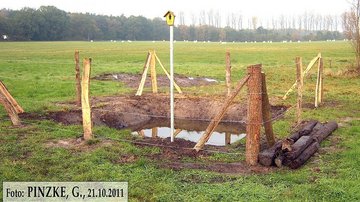 Naturdenkmal - Alte Salzquelle Conow-Suelze