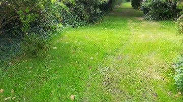 Vorher - Arbeiten auf dem Alten Friedhof Kühlungsborn