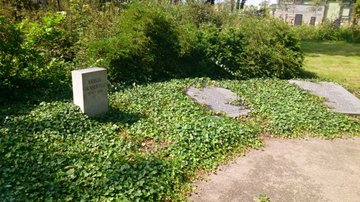 Kriegsgräber II. Weltkrieg - St.-Jantzen-Park Warnemünde/ Rostock