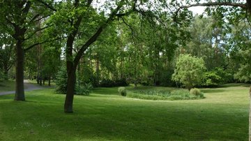Blick über den Waldfriedhof